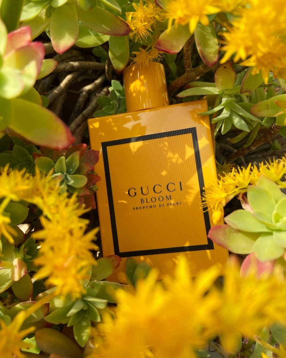 Nước Hoa Gucci Bloom Di Fiori Eau De Parfum 100ml